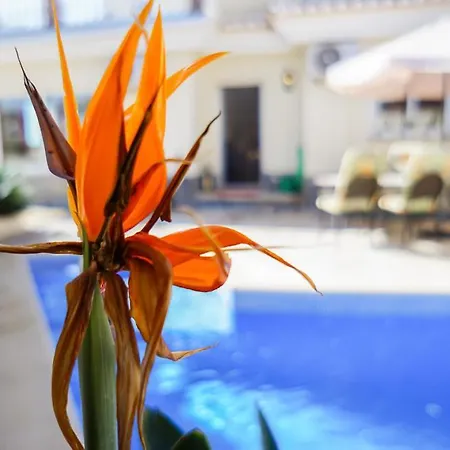 Roan De Amberes Holiday home Torrox